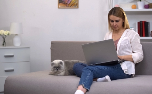 Veterinary Digital Marketing Dos and Donts to Attract New Clients