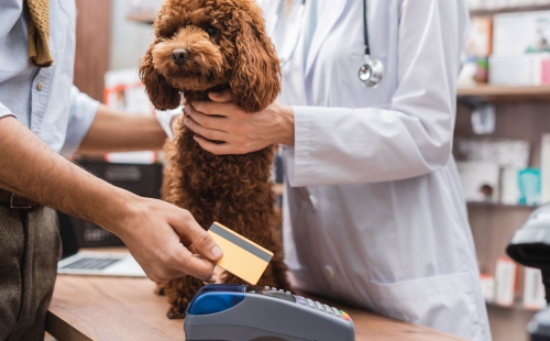dog and payment