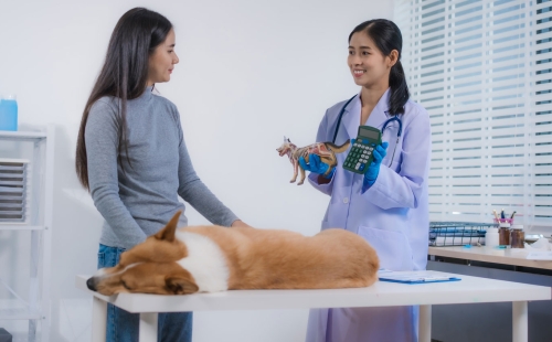 Veterinary Prepayment