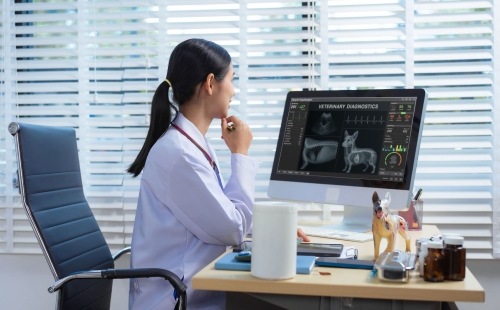 Veterinary Technology