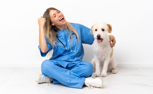 Veterinary Success