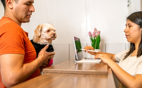 surcharging veterinary practice