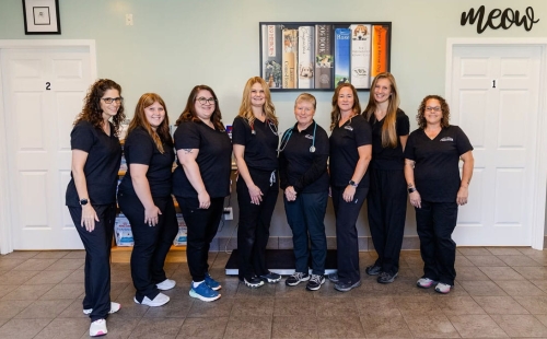 Middle River Veterinary Hospital