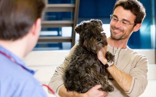 The case for veterinary membership plans