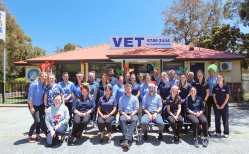 Karingal Vet Hospital