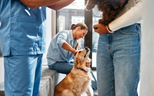 Woman with dog at vet office