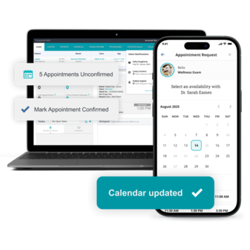Vello UI with Neo