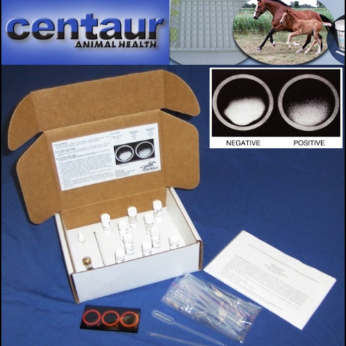 centaur