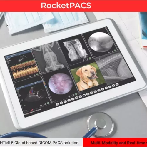 vet rocket