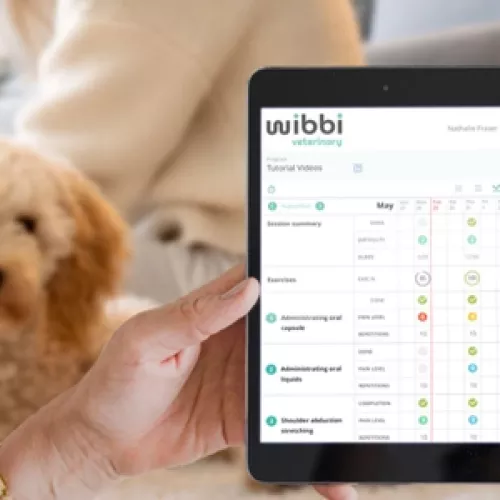 wibbi