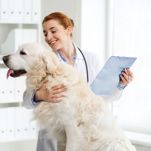 victor medical
