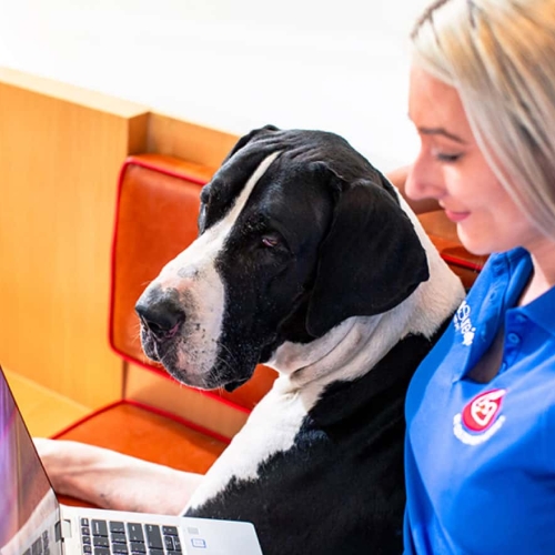 PetSure