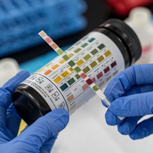 ellie diagnostics