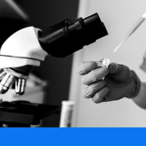 IDEXX Laboratories
