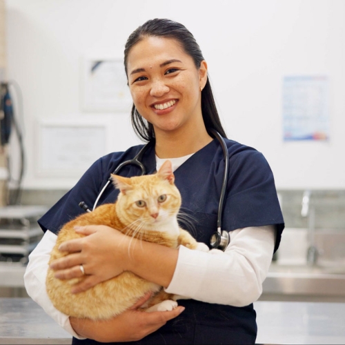 Vet and Cat