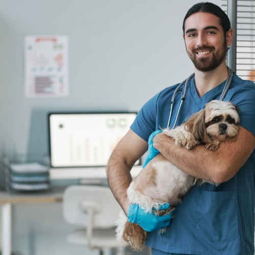 AI and Vet