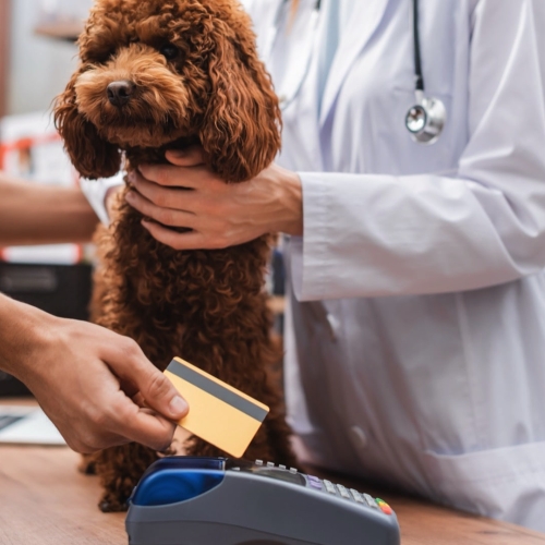 5 Ways Integrated Payments Can Improve Financial Efficiency in Your Veterinary Clinic