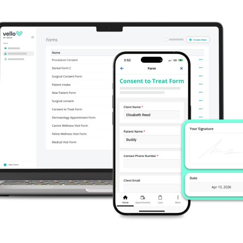 digital forms