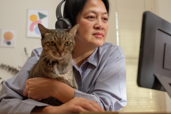 Neo cloud based veterinary software
