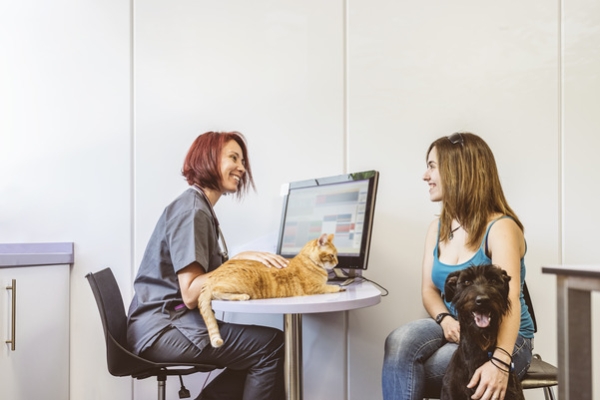 cloud based veterinary software