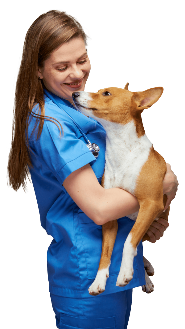 Vet