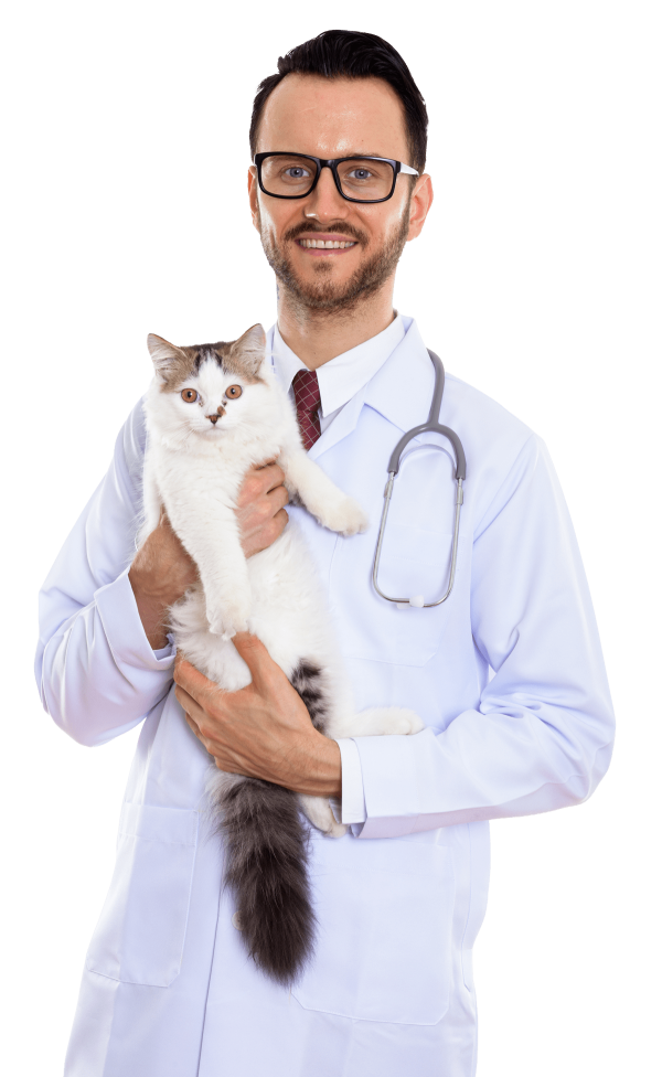 vet