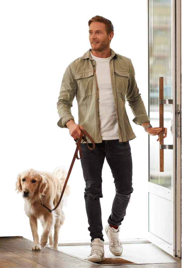 Golden retriever