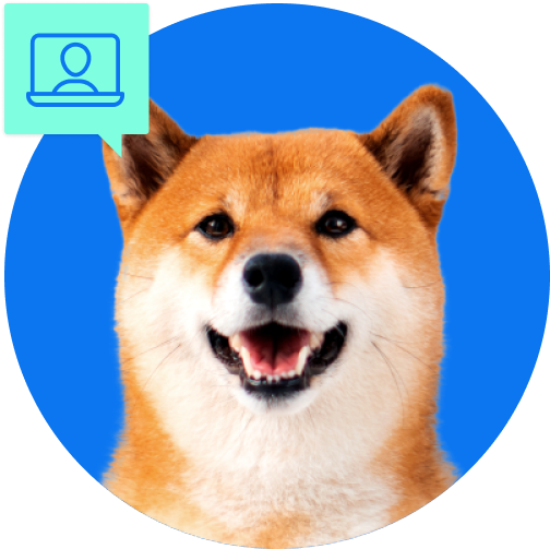 IDEXX Cornerstone customer newsletter