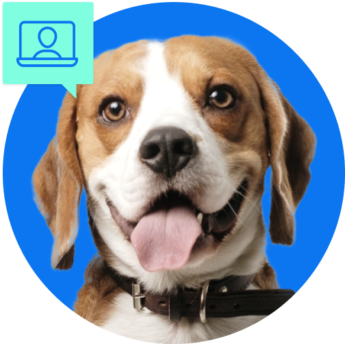 IDEXX Neo newsletter