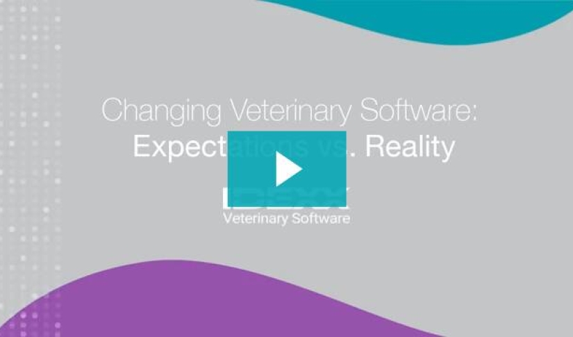Veterinary team morale