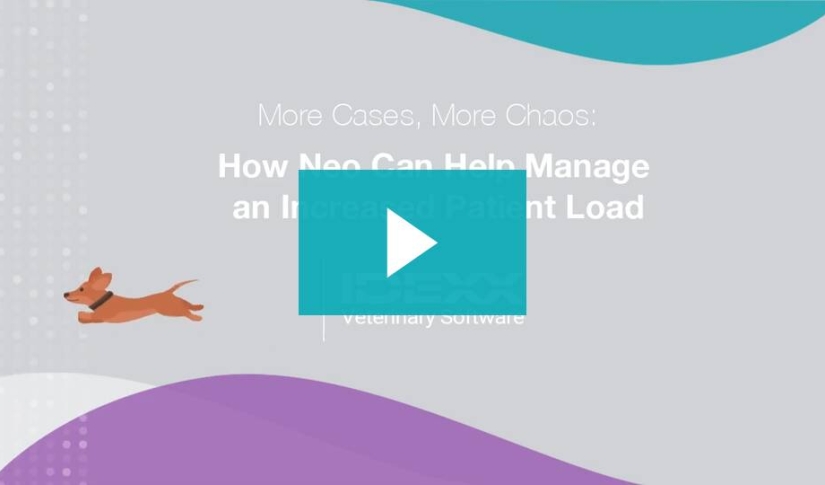Changing veterinary software