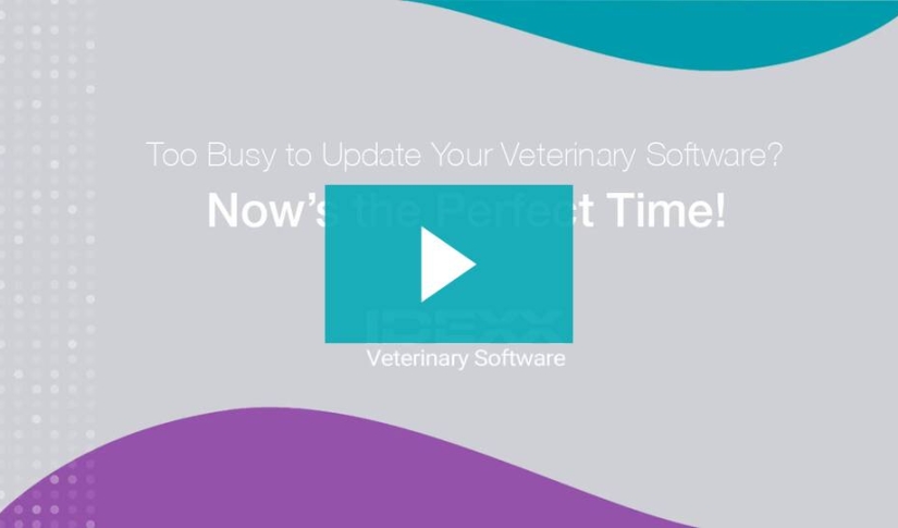 Neo cloud based veterinary software