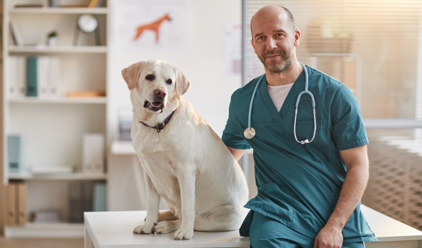Opening a new veterinary practice