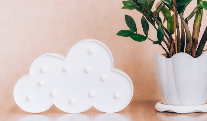 Cloud based veterinary software