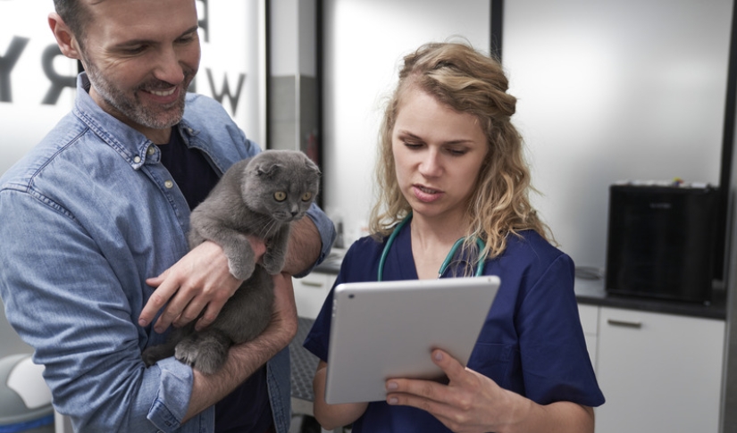 cloud based veterinary software