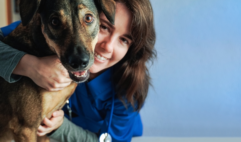 veterinary morale