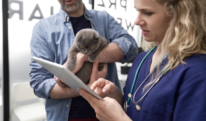veterinary software