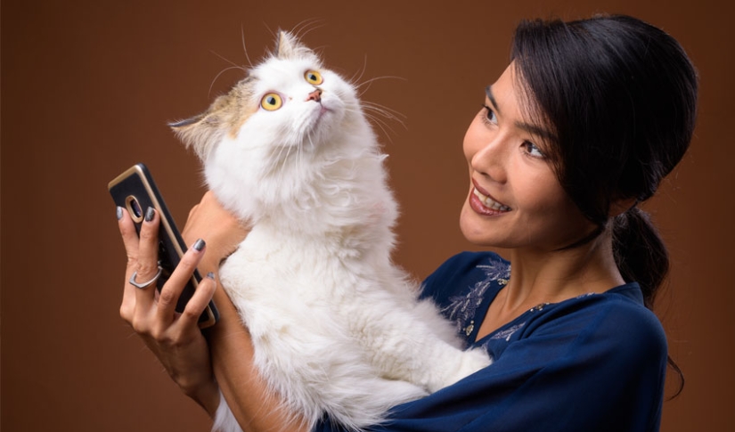 Cat and Owner with a smartphone