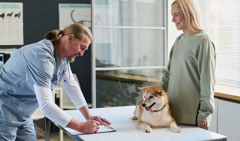 Building Effective Client Education Resources in Veterinary Medicine