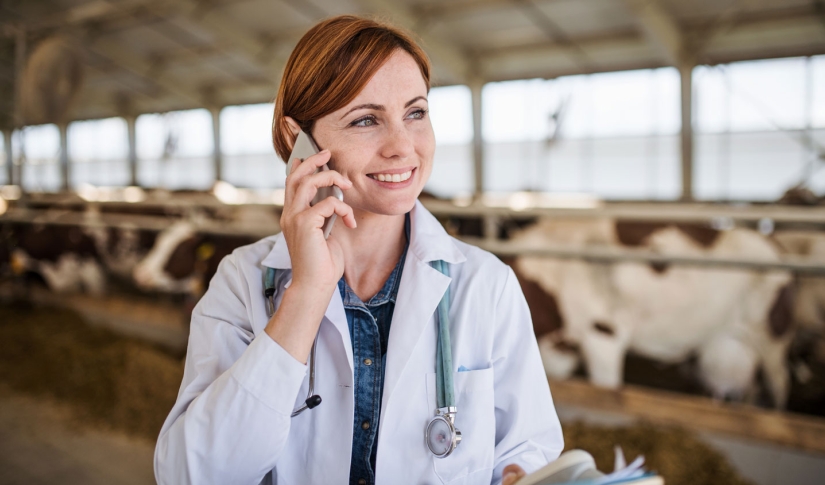 Veterinary Client Communication Strategies For Every Situation