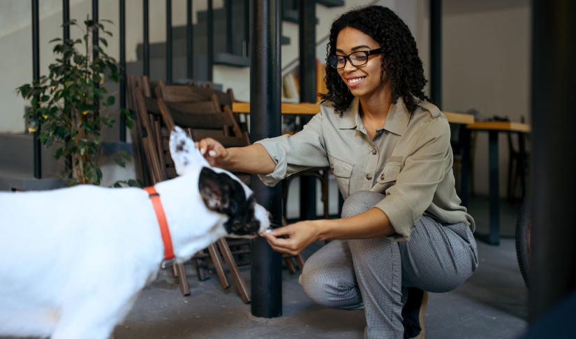 Woman Feeding Dog