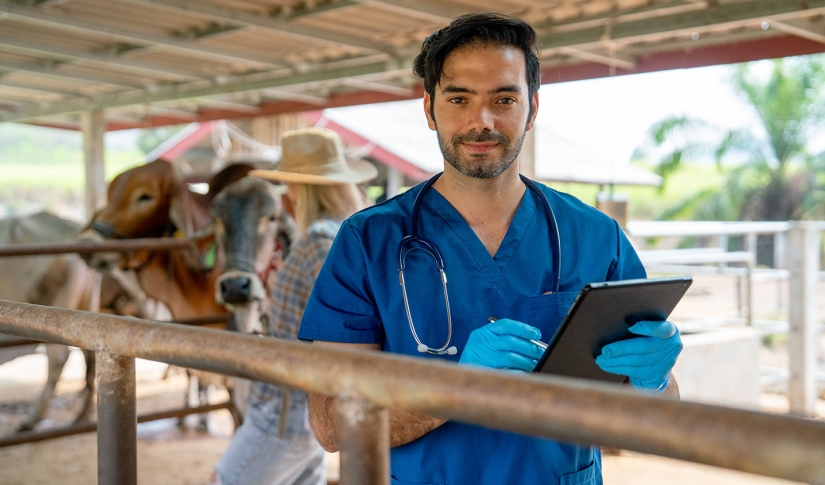 Veterinarian remote access