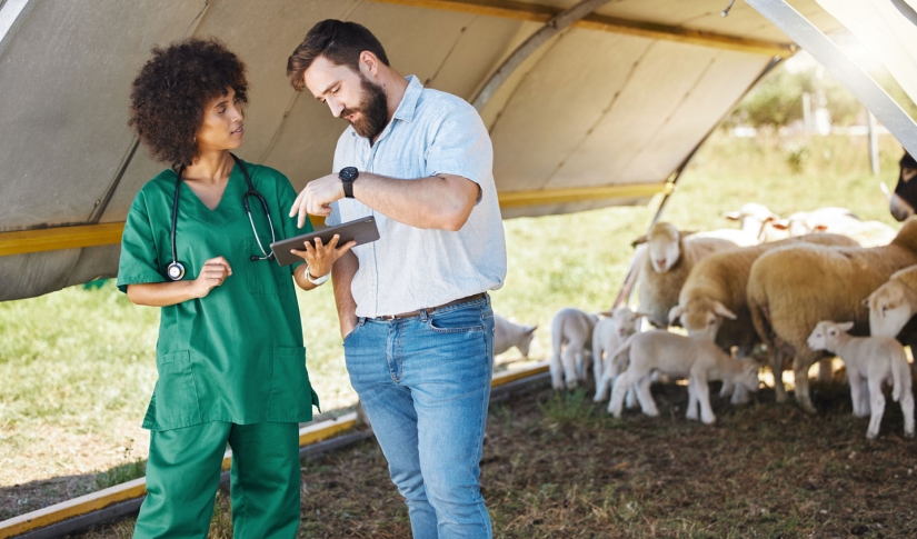 Mobile Veterinary Practice: Tackling Challenges with the Right Software