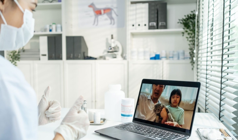 Practical Tips for Implementing Veterinary Telemedicine