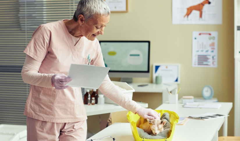 Using Veterinary Dictation Software: Benefits and Challenges