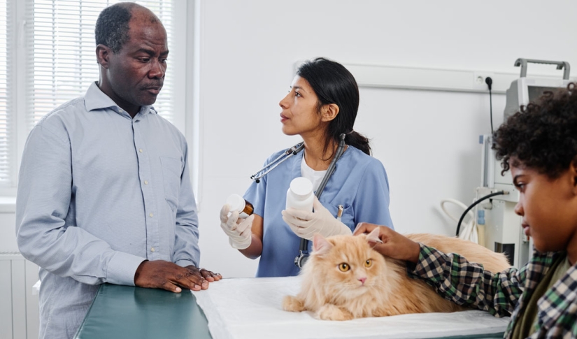 Veterinary Client Communication Styles: Overcoming Differences