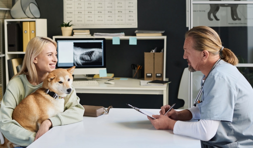 Vet and patient