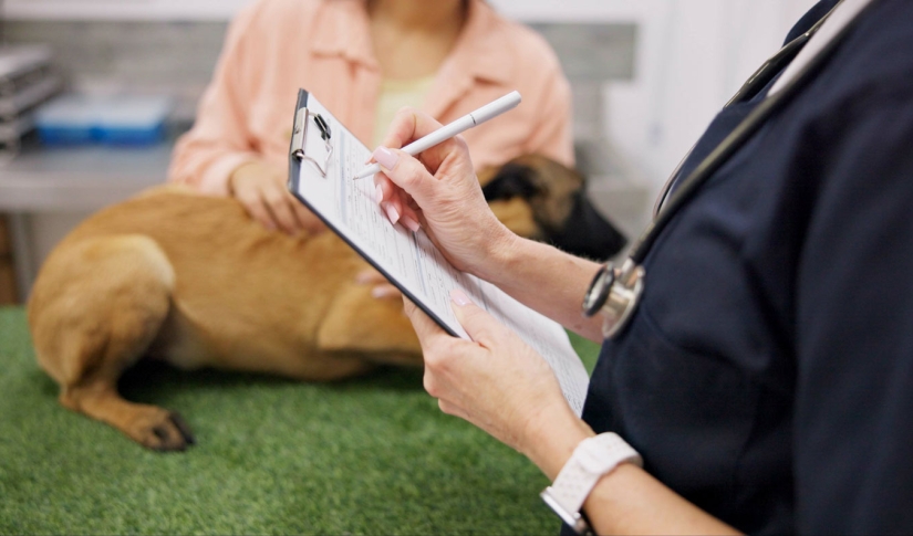 Vet Paperwork