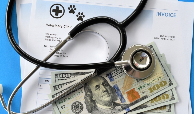 vet costs