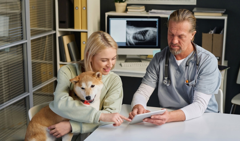 Vet Insurance